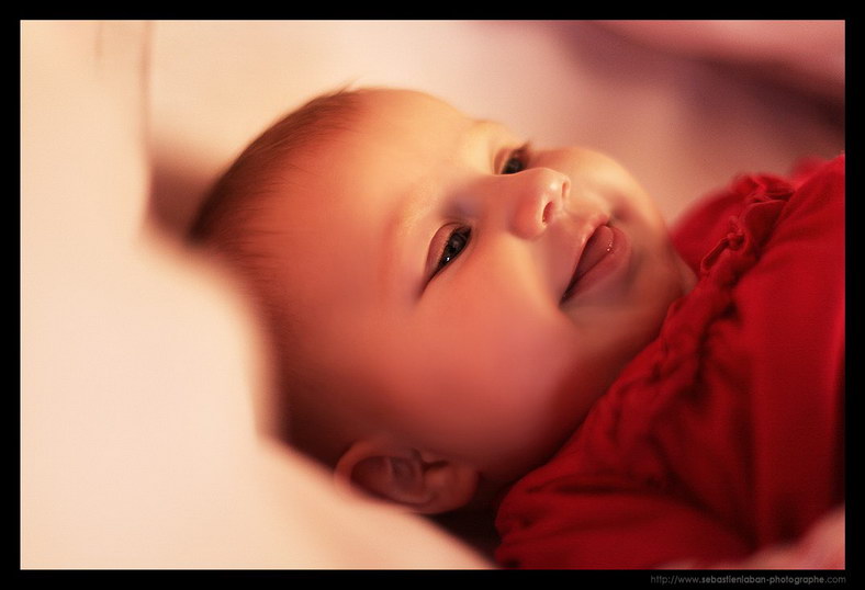 Photographe Portrait Photographe Bebe Portrait