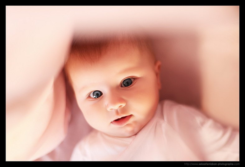 Photographe Portrait Photographe Bebe Portrait