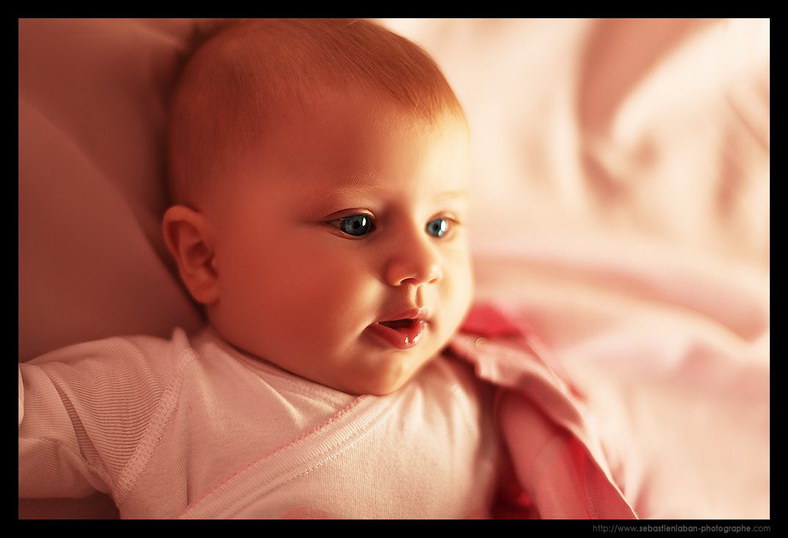 Photographe Bebe Photographe Bebe