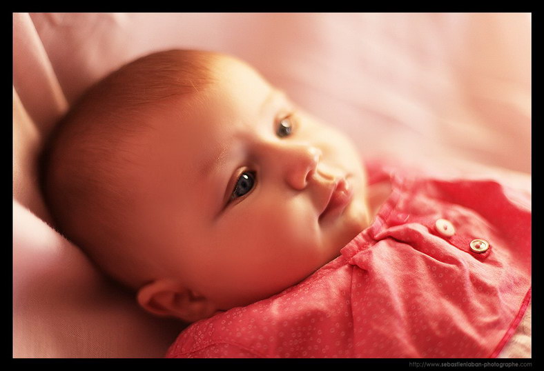 Photographe Portrait Photographe Bebe Portrait