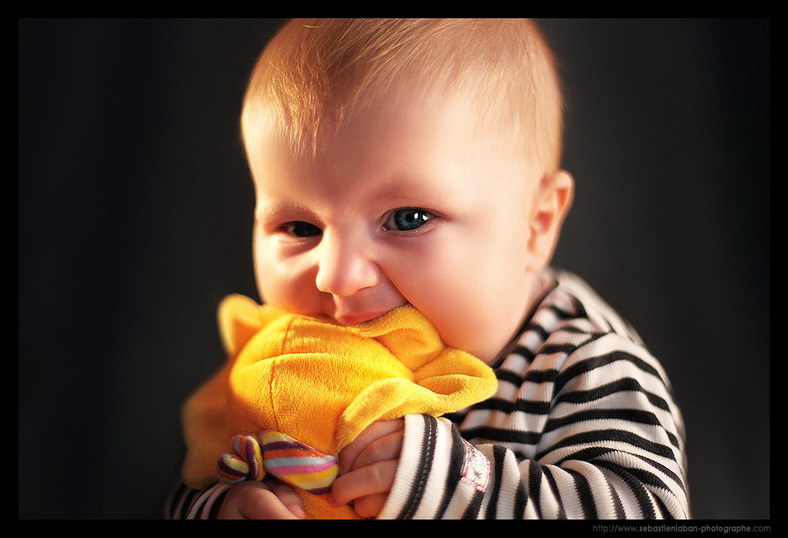 Photographe Portrait Photographe Bebe Portrait