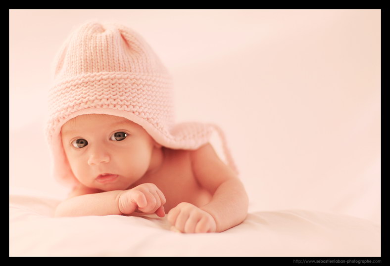 Photographe