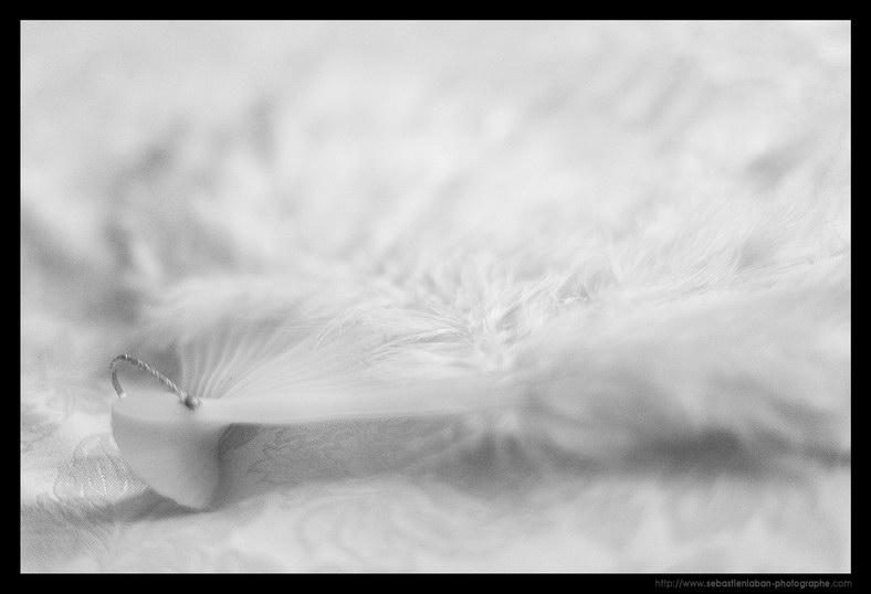 Mariage Eventail Photographe Mariage