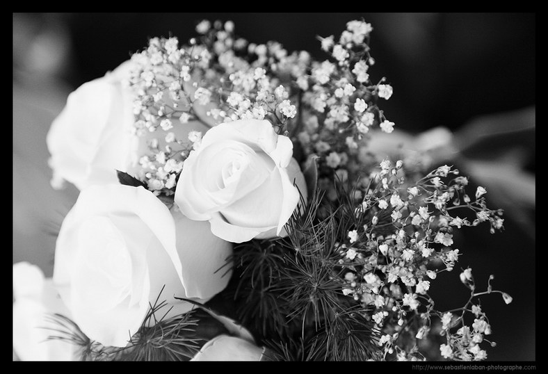 Bouquet Fleur Mariage Photographe Mariage