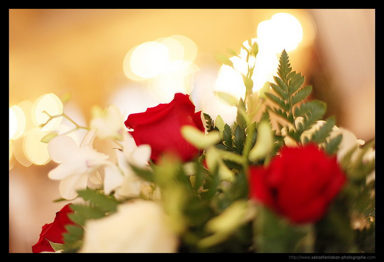Bouquet Fleur Mariage Photographe Mariage