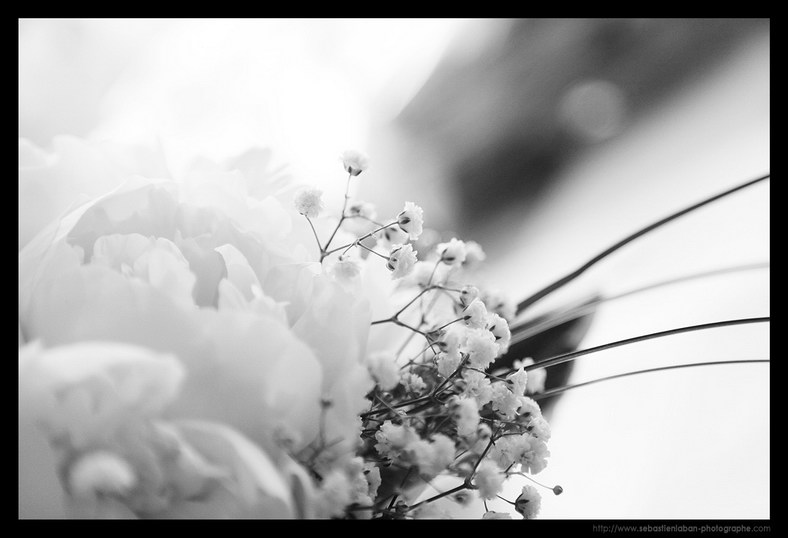 Bouquet Fleur Mariage Photographe Mariage