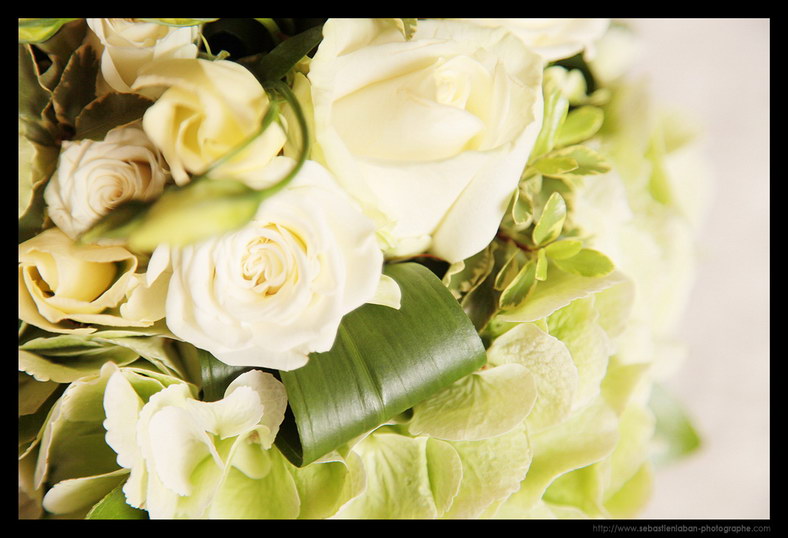 Bouquet Fleur Mariage Photographe Mariage