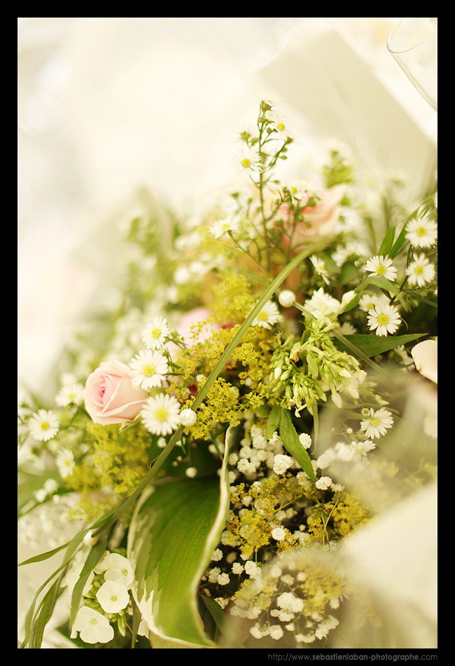 Bouquet Fleur Mariage Photographe Mariage