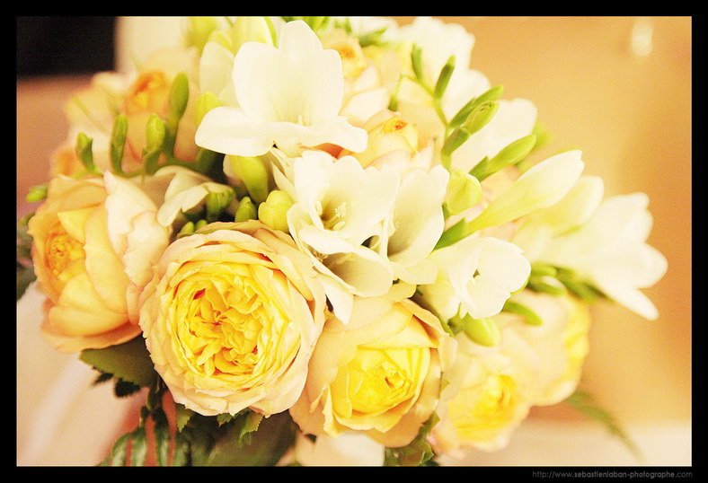 Bouquet Fleur Mariage Photographe Mariage