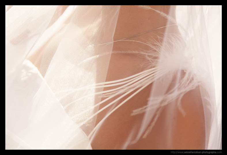 Robe Mariage Photographe Mariage