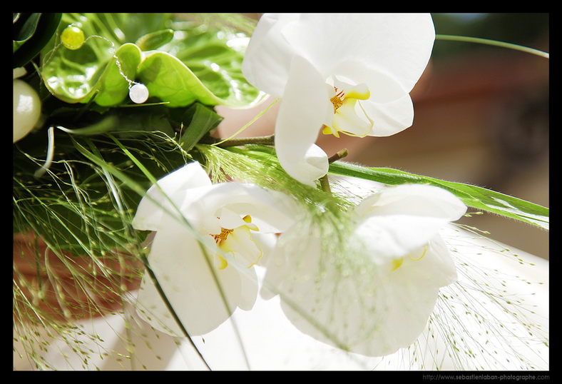 fleurs mariage