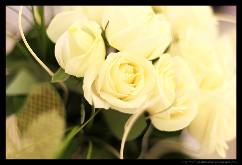 fleurs mariage