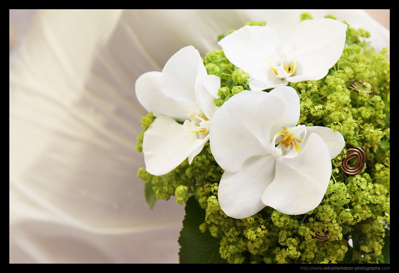 fleurs mariage