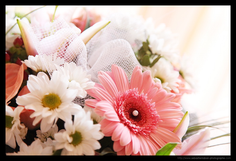 fleurs mariage
