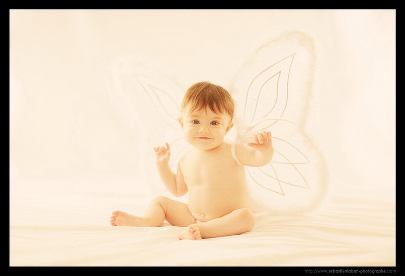 photo photographe