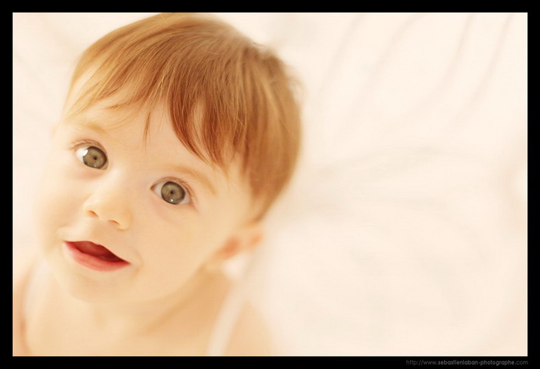 photo photographe