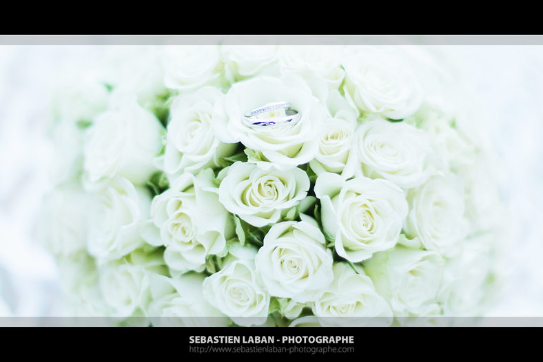 photographe toulon cocktail mariage pins penchés