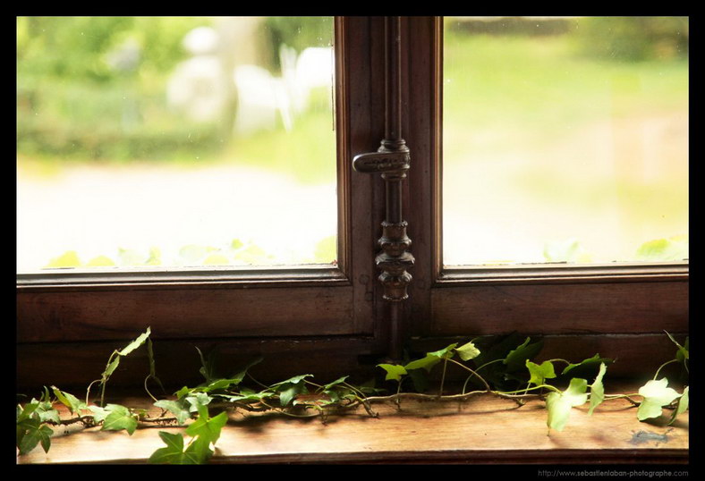 Photographe Mariage Photographe Alpes Maritimes