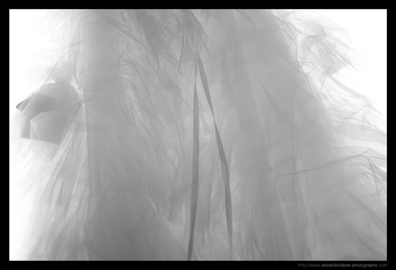 lyon photo mariage photo mariage lyon