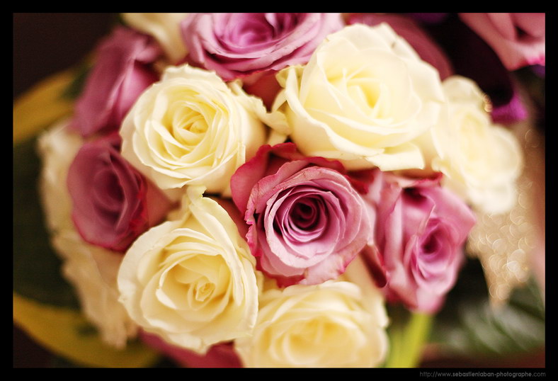 photo mariage monaco mariage monaco