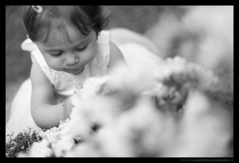 photo mariage monaco mariage monaco