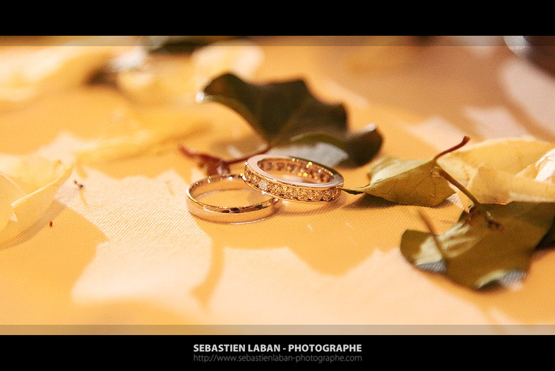 photographe st raphael photo mariage preparation clos roses